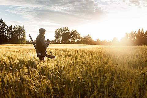 Ein Jäger steht bei Abendlicht in einem Getreidefeld. Er hat sein Gewehr über die Schulter gespannt und hat ein Fernglas in der Hand.
