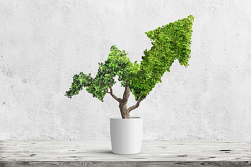 Ein Blumentopf mit einem Bonsai, dessen Blätter und Zweige so geformt sind, dass er eine Pfeilform ergibt, die einer steigenden Aktie ähnelt.