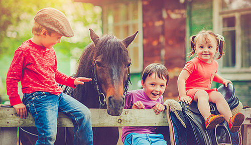 Ein paar Kinder sitzen auf einem Gatter. Mittig steht ein Pferd und streckt seinen Kopf über den Zaun.