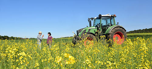 Zwei Landwirte streiten sich. Sie stehen inmitten eines blühenden Rapsfeldes, ein grüner Traktor steht neben ihnen.